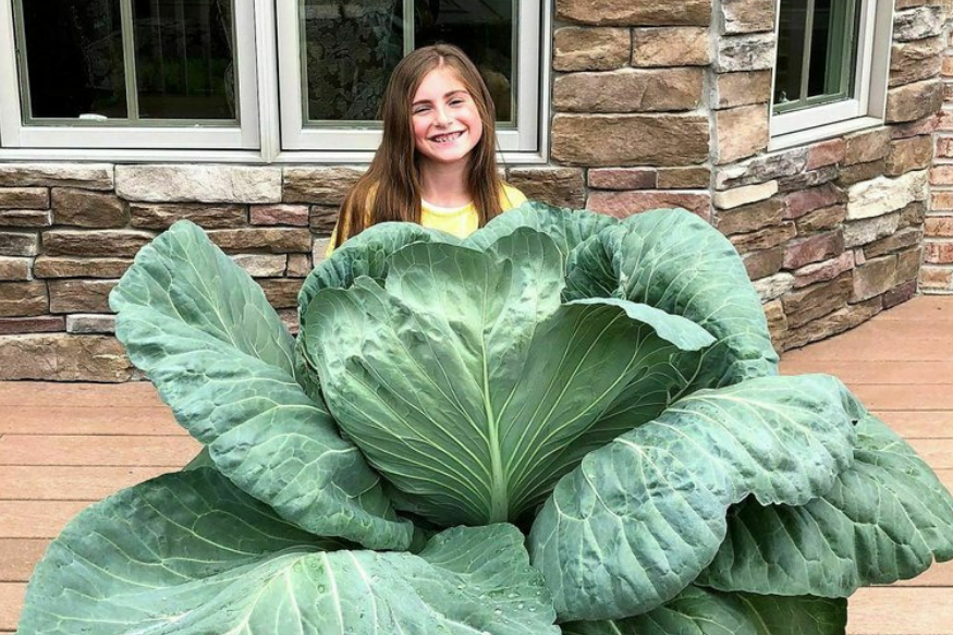 lettuce-celebrate-9-year-old-girl-awarded-rs-70-000-for-growing-a