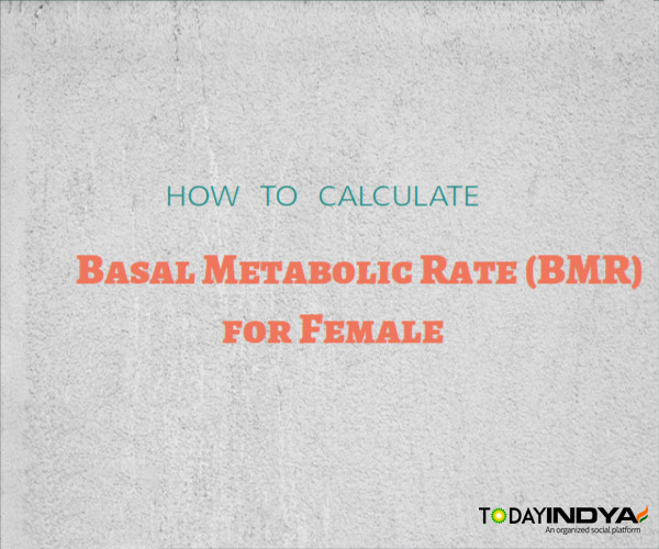 How Do I Calculate My Bmr Manually TOP 